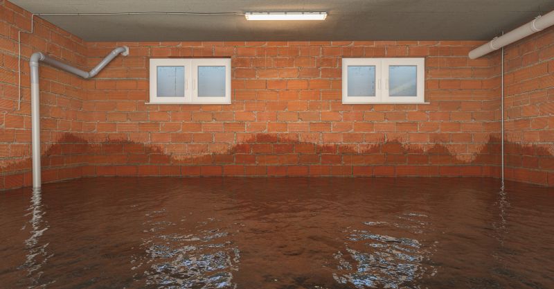 Basement Flood Repair