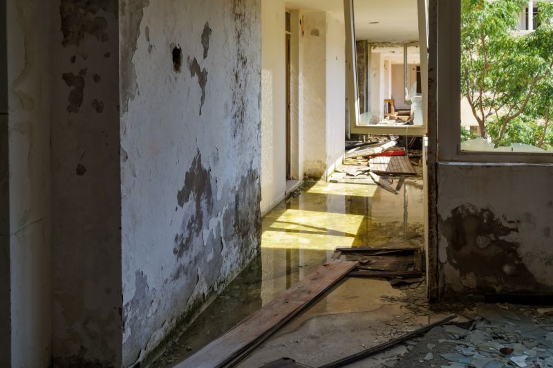 Crawlspace Water Cleanup detail