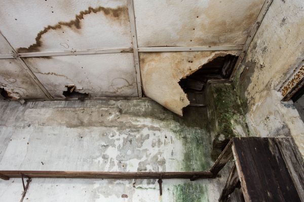 Cost of Water Damage Service in Brooklyn